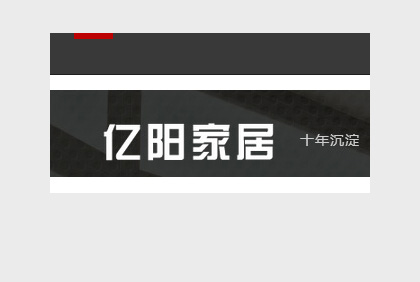 四川億陽家居有限公司
